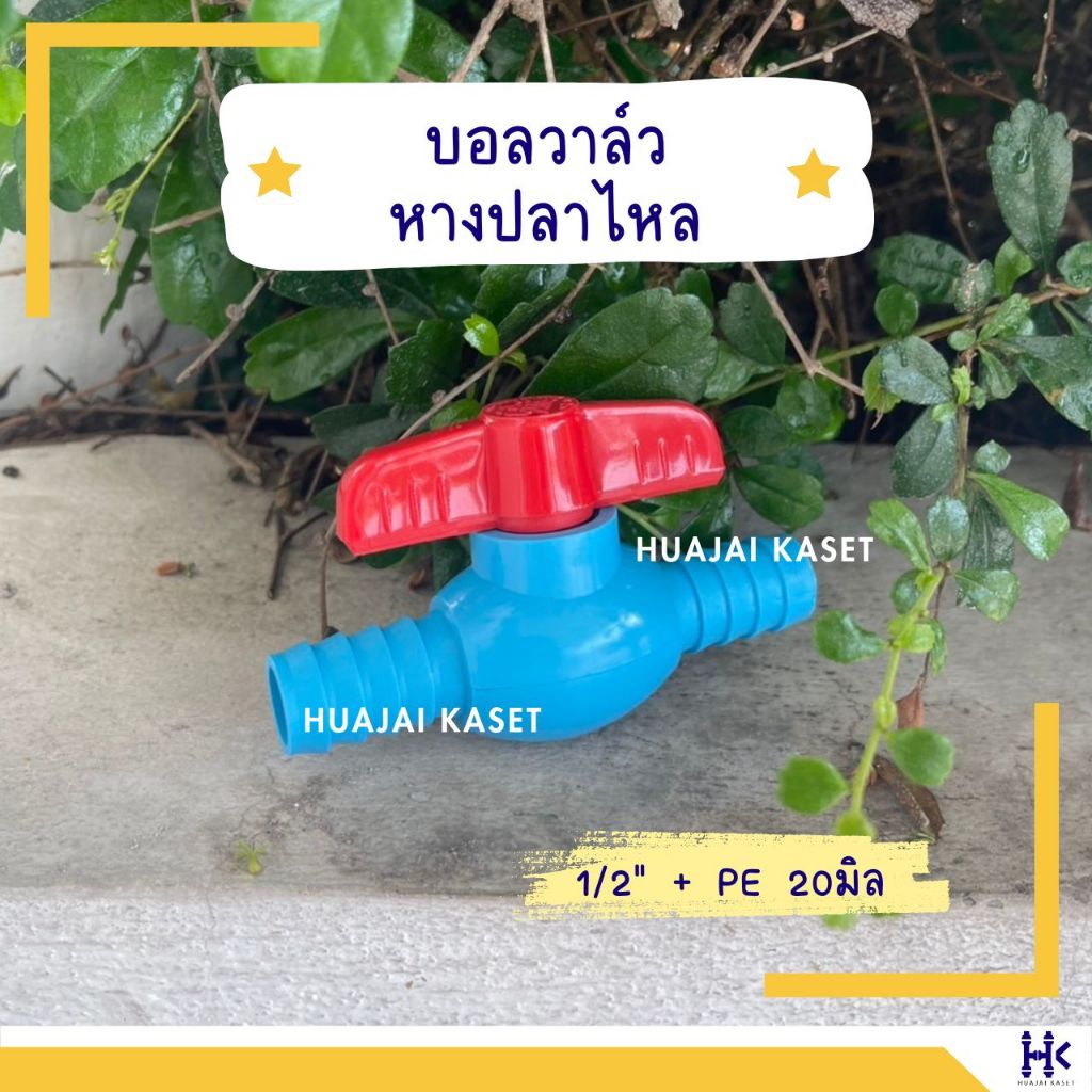 บอลวาล์วหางปลาไหล ขนาด 1/2" + PE20มิล รูปที่ 5