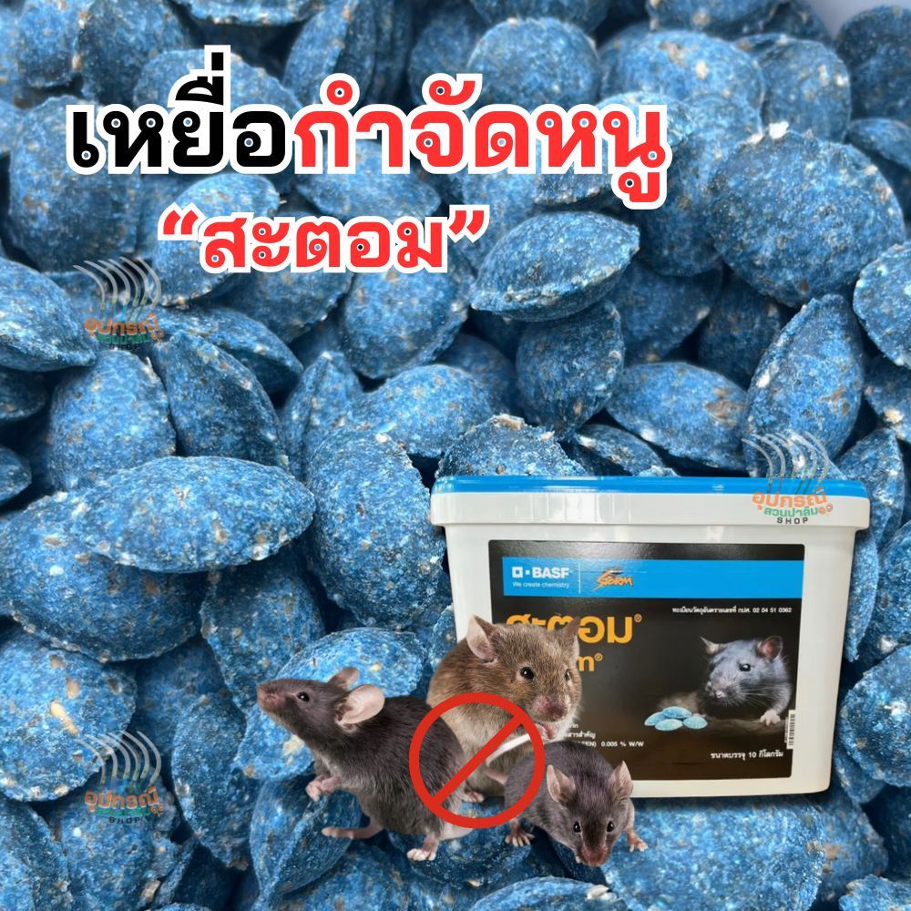 สะตอม เหยื่อกำจัดหนู เม็ดสีฟ้า หนูตายแห้ง เห็นผลไวภายใน3-7วัน ใช้งานง่าย ไม่ต้องผสมอาหาร ของแท้
