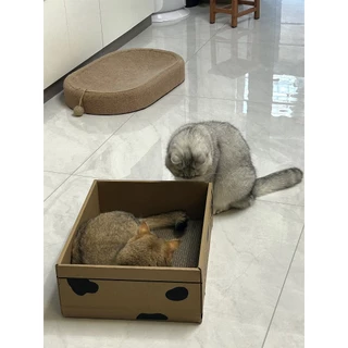 📦ที่ลับเล็บแมว คอนโดแมว บ้านแมว บ้านลังกระดาษแมว ที่ลับเล็บแมว ทีฝนเล็บแมว ของใช้แมว กล่องแมว ของเล่นแมว ที่นอนแมว แมว