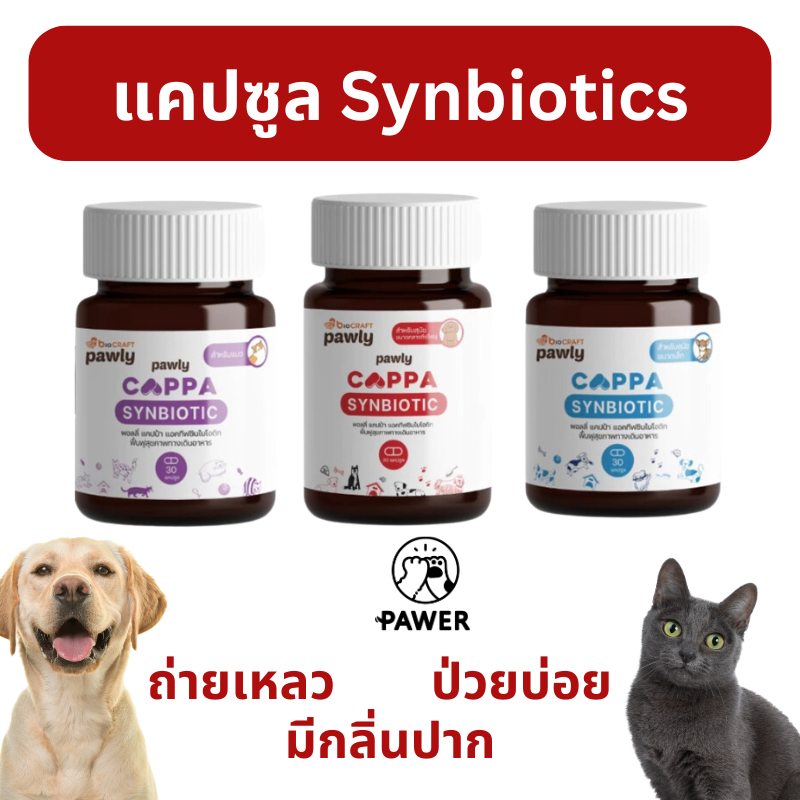 Pawly Cappa probitotics อาหารเสริมภูมิหมา แมว ปรับสมดุลลำไส้ ถ่ายเหลว ป่วยบ่อย มีกลิ่นปาก