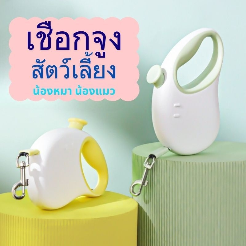 สายจูงสัตว์เลี้ยงแบบยืดหดได้ BB3 แบบยืดหดได้  ยาว3เมตร