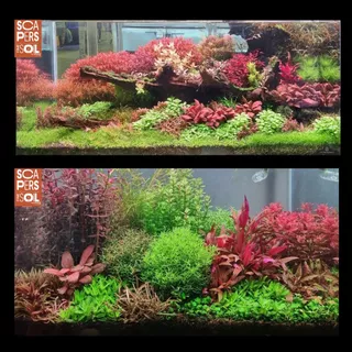 ดินปลูกไม้น้ำ คุณภาพจากสิงคโปร์ น้ำใส โตเร็ว Aqua Soil แบ่งขาย (Aquaplant Culture Scapers Soil)