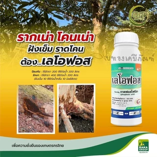ขนาด 1 ลิตร เลโอฟอส บาก้า กรดฟอสโฟนิคสารแก้ปัญหาเชื้อรา โรคแส้ดำในไร่อ้อย