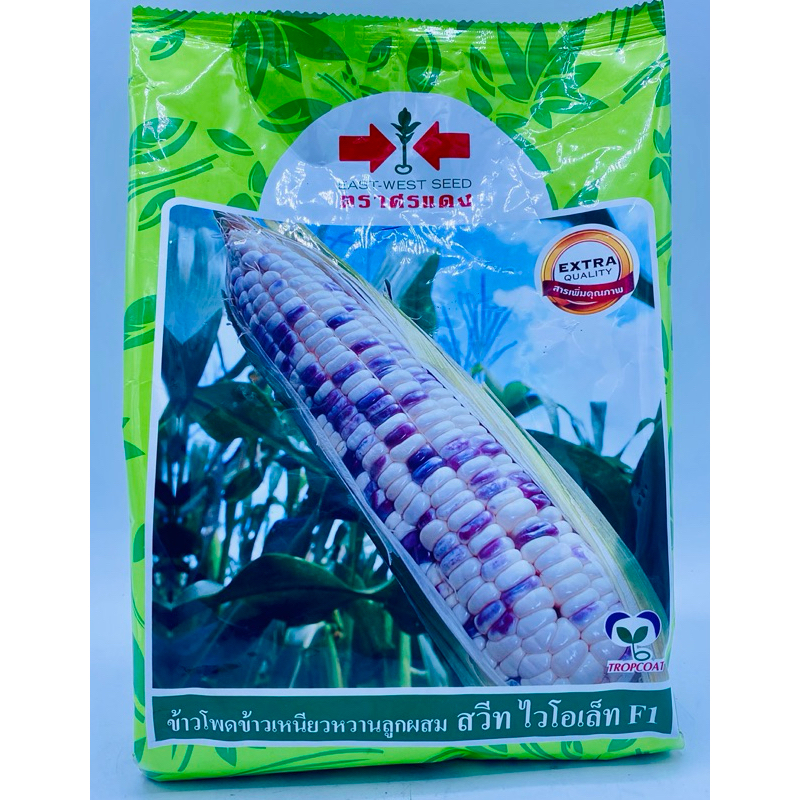 เมล็ดพันธุ์ ข้าวโพด สวีทไวโอเล็ท F1 ตราศรแดง 1kg/ถุง