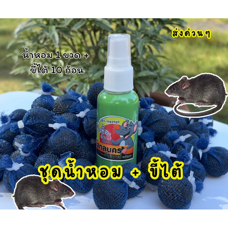 น้ำหอม + ขี้ไต้ 10 ก้อน เหยื่อดักหนู พร้อมสเปรย์น้ำหอม