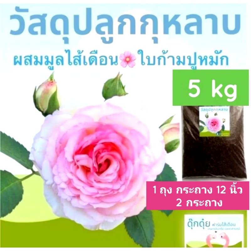 5 kg ดินปลูกกุหลาบปลอดสารเคมี 🌸รวมใบก้ามปูหมัก มูลไส้เดือน💚 ธาตุอาหารสูง ร่วนโปร่ง ระบายน้ำได้ดี