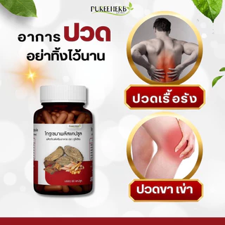 โกฐเขมาพลัสแคปซูล ตราภูรีเฮิร์บ