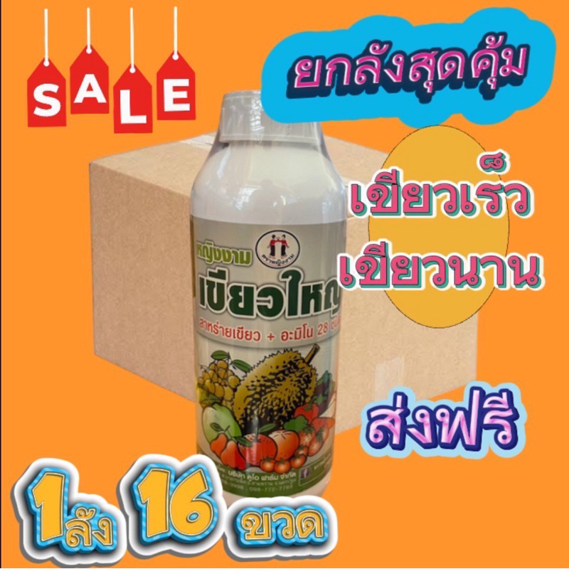 (ยกลัง 16 ขวด)หญิงงามเขียวใหญ่ 1 ลิตร สาหร่าย+อมิโน 28 ชนิด  เขียวใหญ่ ใบหนา (ยกลัง 16 ขวด)