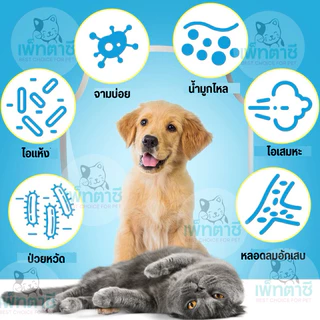 Oimmal Kennel Cough วิตามินสำหรับสุนัข แมว บำรุงการหายใจ หลอดลมตีบ ไอ จาม เสมหะ