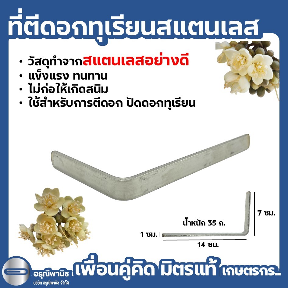ที่ตีดอกทุเรียนสแตนเลส เลสตีดอกทุเรียนอย่างดี อุปกรณ์ปัดดอกทุเรียน