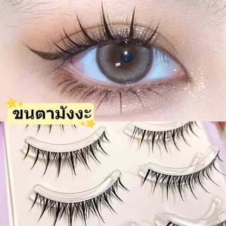ขนตาปลอม 3D ขนตาปลอมธรรมชาติ ขนตาต่อ ขนตาปลอมเกาหลี ขนตาปลอมมังงะ 5 คู่ สไตล์แฟรี่