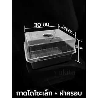 เซต ถาดไดโซะ พร้อมฝาครอบ ถาดปลูกต้นไม้ เพาะต้นอ่อน เพาะกล้าข้าว เพาะชำ เพาะเมล็ด ถาดทึบ มีรู แบบสูง กลาง เตี้ย