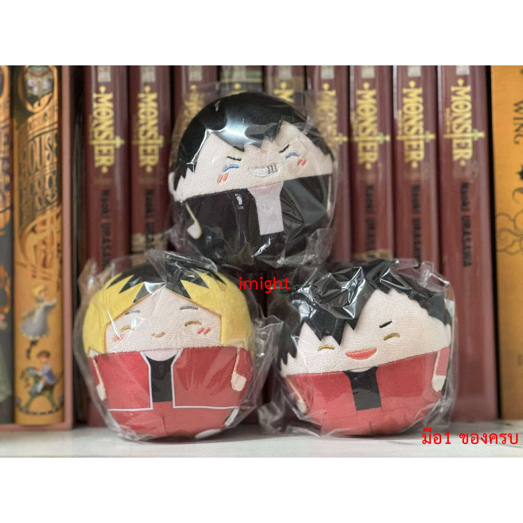 Fuwakororin Haikyu!! Special ฟุวะ ไฮคิว มือ1