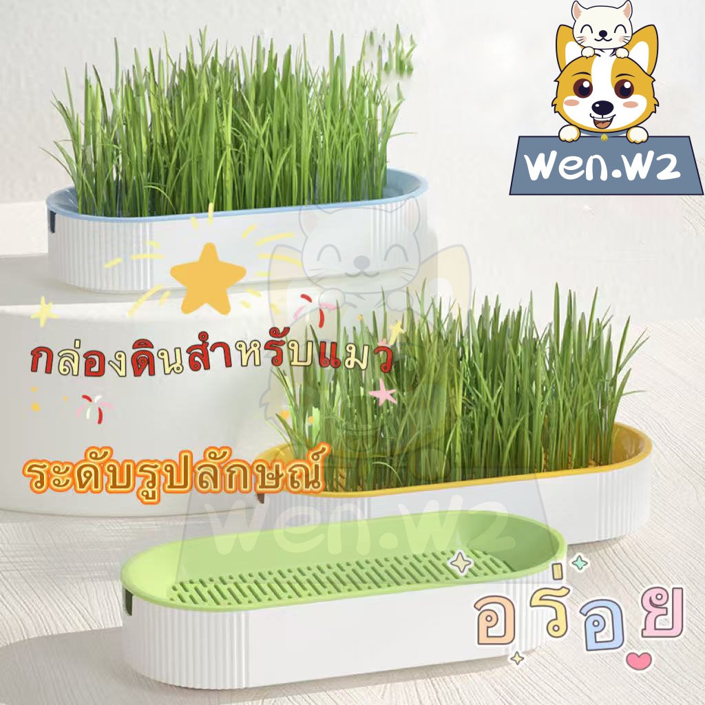 wen.W2 แมวขนมขบเคี้ยวหญ้าชนิดหนึ่งปลูกหญ้าไร้ดิน และสีไม้ชนกล่องหญ้า