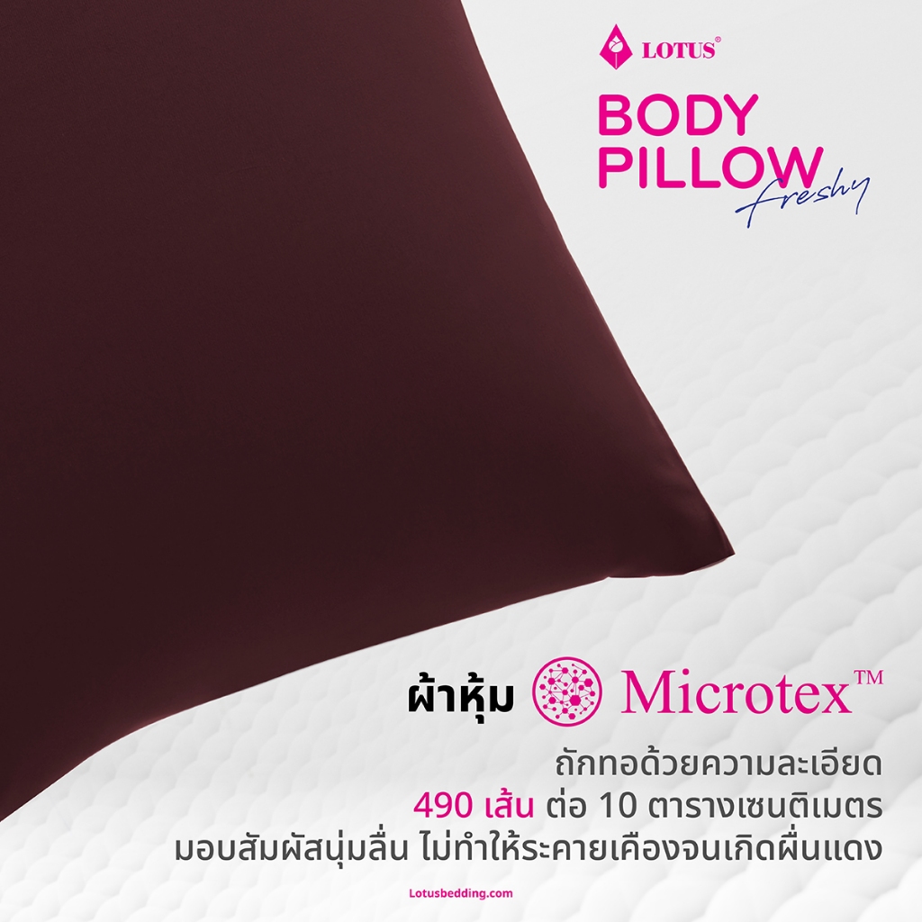 LOTUS หมอนบอร์ดี้ใยสังเคราะห์ รุ่น Freshy ส่งฟรี - รูปที่ 6