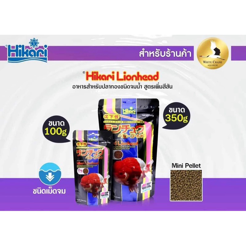 Hikari Lionhead ฮิคาริ อาหารปลาทองเกรดพรีเมี่ยม นำเข้าจากญี่ปุ่น (ชนิดเม็ดจมน้ำ)