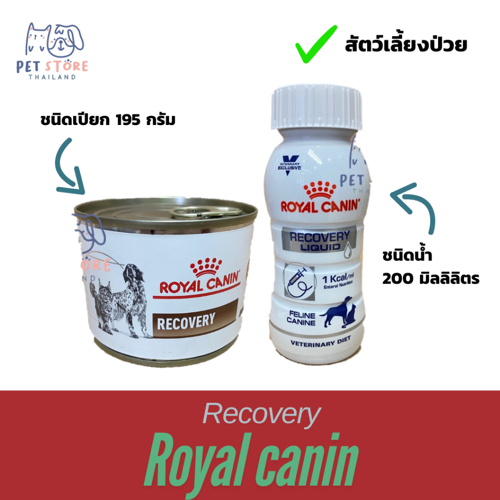 Royal Canin Recovery อาหารสัตว์ อาหารสัตว์เลี้ยง อาหารสัตว์เลี้ยงป่วยสำหรับหมาแมว