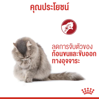 [EXP8/2027] ROYAL CANIN HAIRBALL CARE 4KG แมวโตป้องกันการเกิดก้อนขน