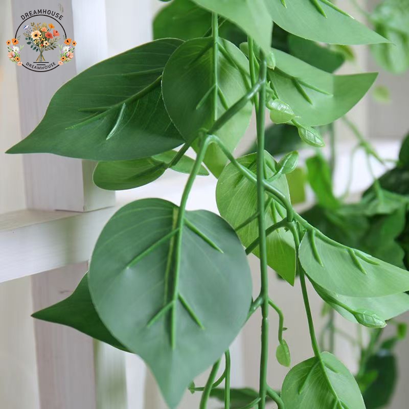 รูปภาพ 5