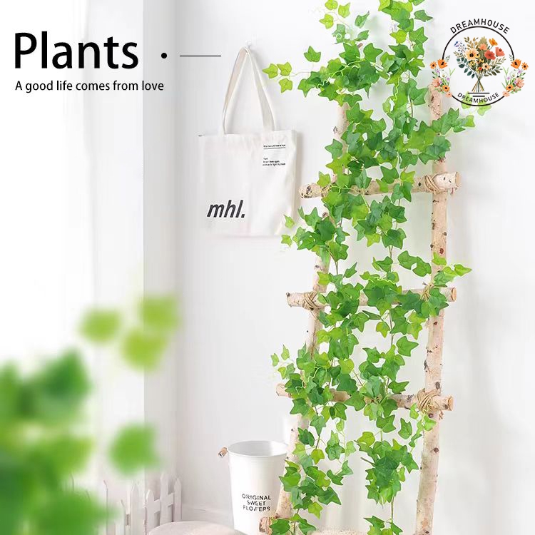 รูปภาพ 6