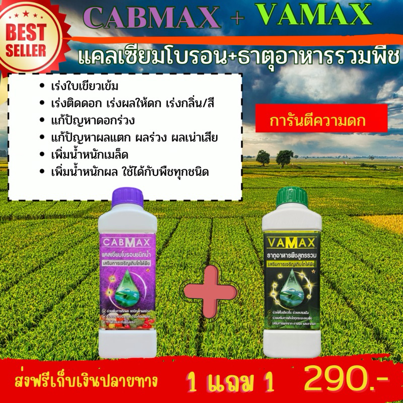 ชุด1 แถม 1 (ปุ๋ยธาตุรวม VAMAX + CABMAX แคลเซียมโบรอน) เพียงชุดละ 290 บ. จัดส่ง ฟรี ทั่วประเทศ !!!!