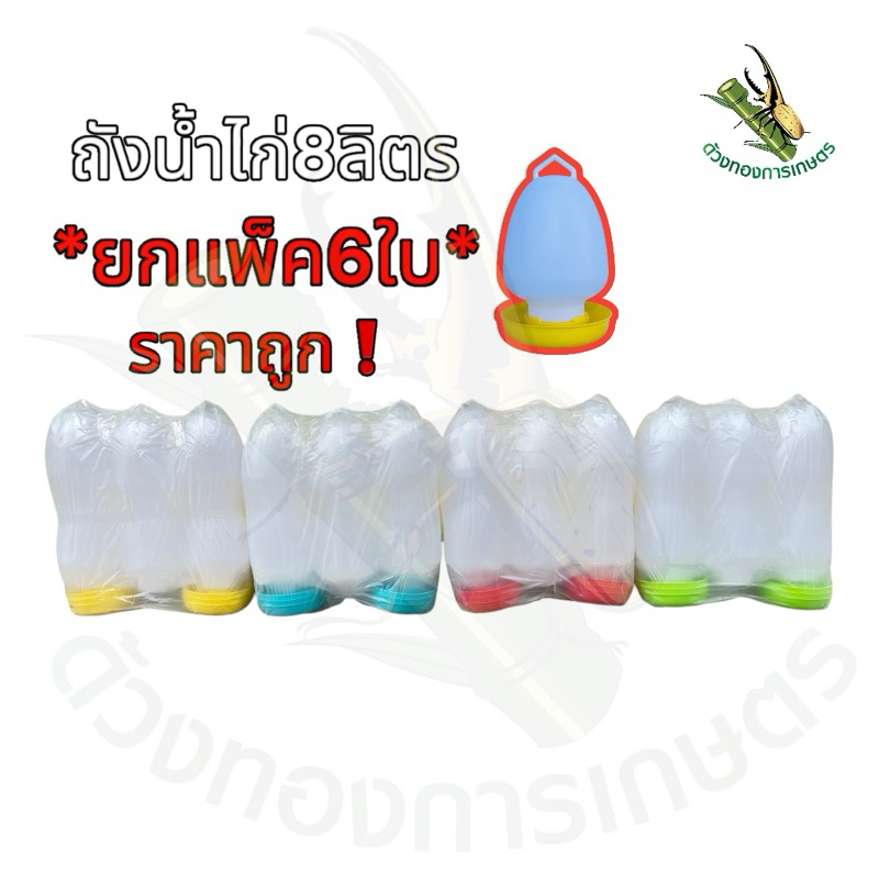 ถังน้ำไก่8ลิตร *ยกแพ็ค6ใบราคาถูกคละสีได้