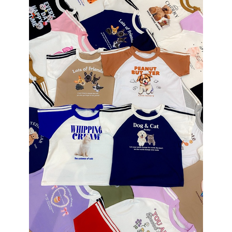 เสื้อครอป น่ารัก ไลฟ์สด (คละสั่งได้เลยจ้า)