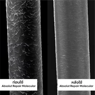 L'Oreal ABSOLUT REPAIR MOLECULAR ลอรีอัล แชมพู ทรีทเมนท์ เซรั่ม ออยล์ ฟื้นฟูผมเสียจากเคมีซ้ำซ้อน