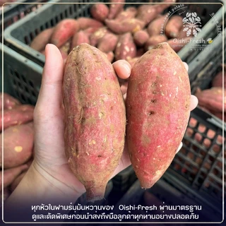 Oishi-Fresh ขายดีอันดับ1 มันหวานญี่ปุ่น Sweet potato เบนิฮารุกะ เนื้อเหลือง หอมหวาน อร่อย 1 กก.สินค้าเคลมได้ 1-2 วัน