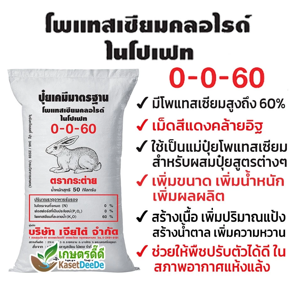 ปุ๋ย 0-0-60 300G/1KG โพแทสเซียมคลอไรด์ บำรุงผลผลิต เพิ่มแป้ง เพิ่มหวาน เพิ่มขนาด เพิ่มน้ำหนัก เม็ดสีแดงอิฐ