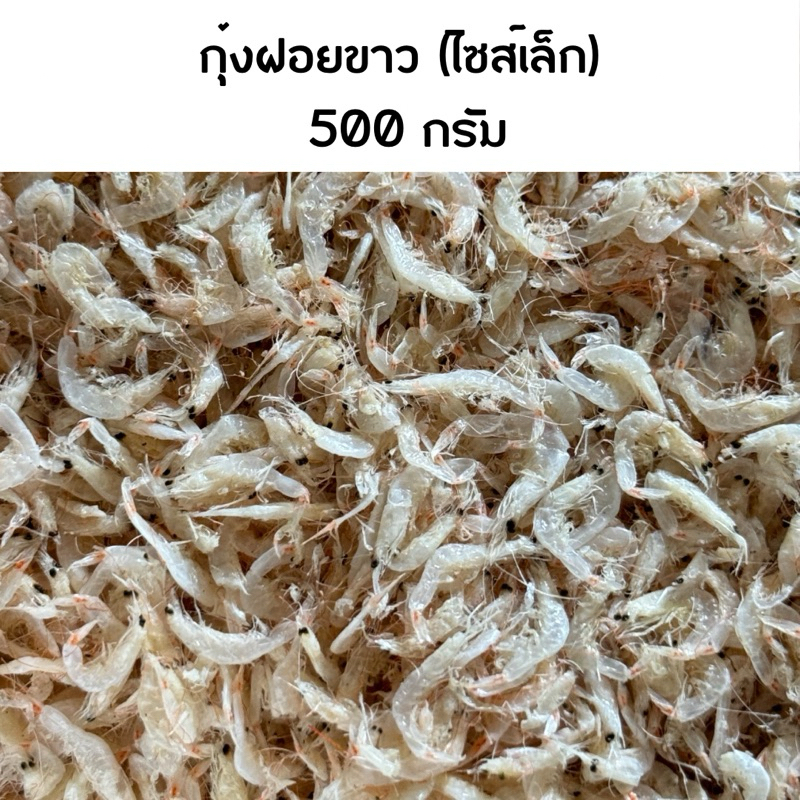 กุ้งฝอยขาว 500 กรัม กุ้งฝอยไม่ใส่สี เคย กุ้งฝอยแห้ง