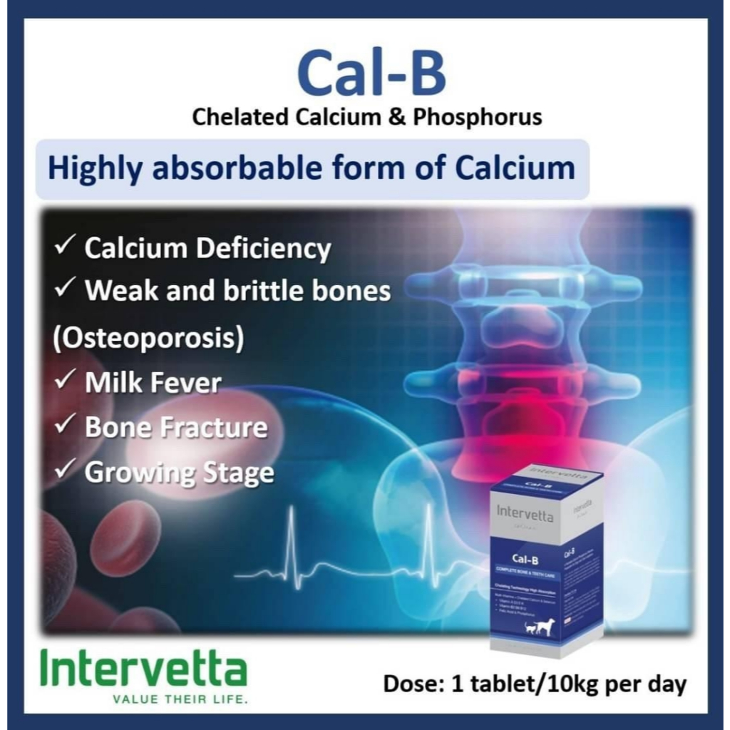 Intervetta Dr.Choice อาหารเสริม วิตามิน สำหรับสุนัขและแมวทุกสายพันธุ์ (100 เม็ด) - รูปที่ 5