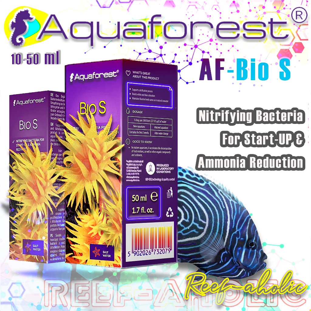 Bacteria Aquaforest Bio S แบคทีเรียที่แข็งแกร่งที่สุด ชั่วโมงนี้!! ควรใช้ตั้งแต่วันแรกที่รันตู้เลย