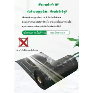 พลาสติกคลุมดิน ผ้าคลุมหญ้า กำจัดวัชพืช ผ้าคลุมวัชพืช พลาสติกเกรดส่งออก ผสมUV ฆ่าหญ้า เห็นผลไวถายใน กลูโฟซิเนต แอมโมเนีย