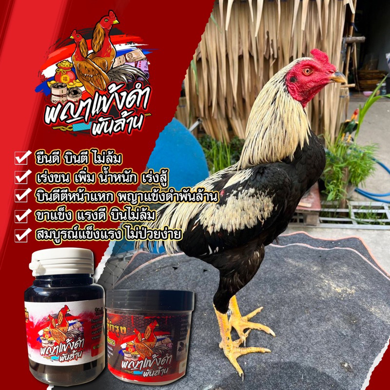 เลี้ยงไก่พญาแข้งดำพันล้าน1ชุดมี2อย่าง390บาท