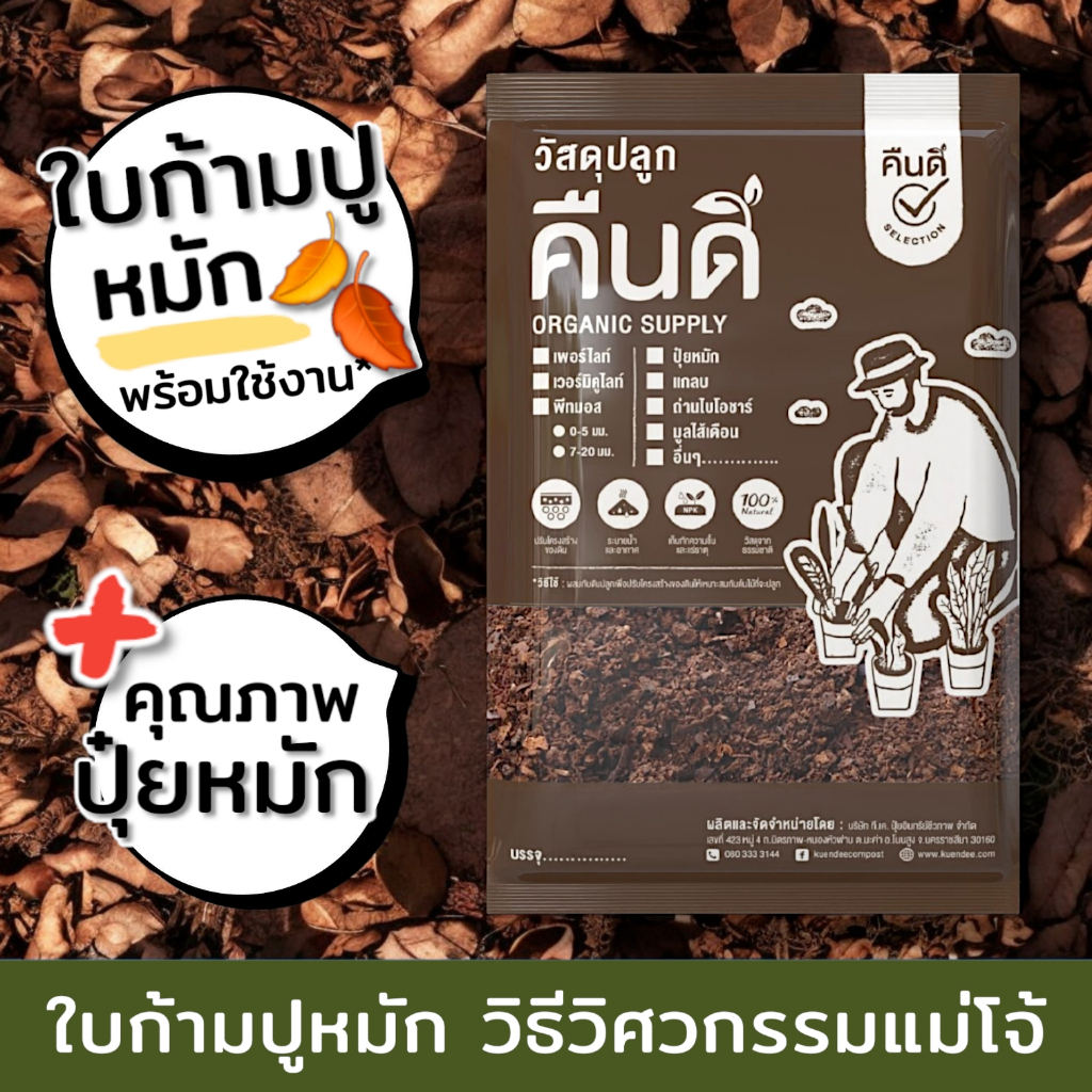 ส่งฟรี ‼️ | ดินใบก้ามปู ใบก้ามปูหมัก ร่อนละเอียด | เติมดินโปร่ง ไนโตรเจนสูง ธาตุอาหารครบ