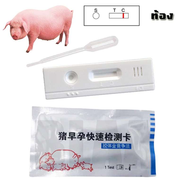 แผ่นตรวจครรภ์หมู ที่ตรวจตั้งครรภ์หมู ชุดตรวจครรภ์หมู อุปกรณ์สัตว์เลี้ยง แบบใช้แล้วทิ้ง