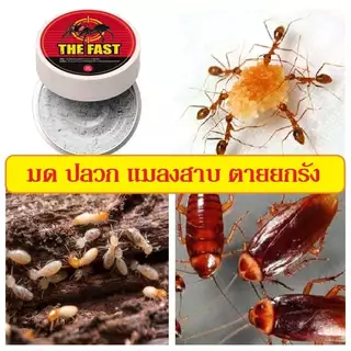 ของแท้100% The fast ผงกำจัดมด ปลวก แมลงสาบ ตายยกรัง เห็นผลทันที ขนาด100g