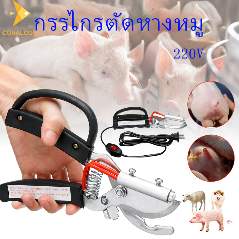 coralcoveshop กรรไกรตัดหางหมู คีมตัดหางหมูไฟฟ้า ตัดหาง 220V เลือดไม่ไหล แผลแห้งเร็ว พร้อมสวิตช์