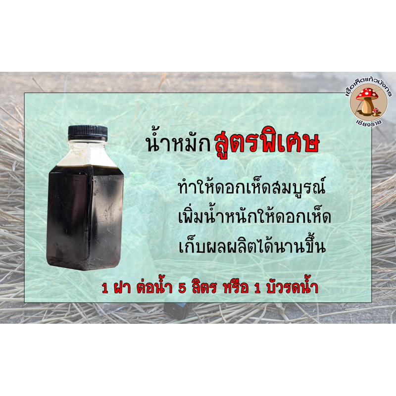 น้ำหมักหอยเชอรี่ ดอกเห็ดแข็งแรง