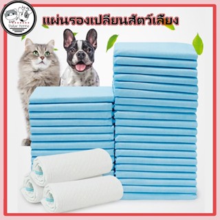แผ่นรองฉี่สุนัข แผ่นฉี่แมว แผ่นรองฉี่ ต่อต้านแบคทีเรีย ซึมซั…