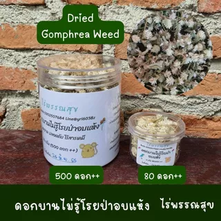 สมุนไพรอาหารเสริม สัตว์เล็ก สัตว์ฟันแทะสำหรับกระต่าย แกสบี้ ชินชิล่า ชูการ์ไรเดอร์ แฮมเสตอร์ นก