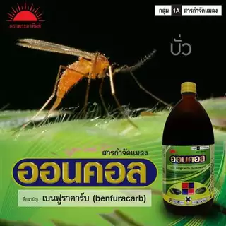 ออนคอล 1 ลิตร ( เบนฟูราคาร์บ ) กำจัดหนอน เพลี้ยไฟ เพลี้ยอ่อน แมลงหวี่ขาว แมลงบั่ว แมลงสิง หนอน ด้วง
