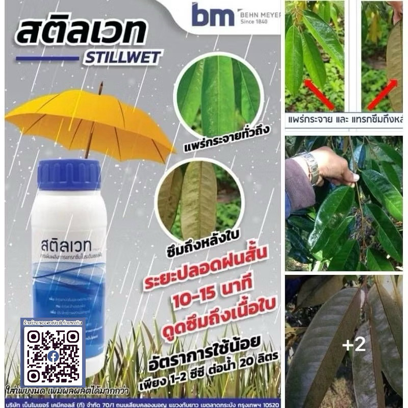 สติลเวท (𝐒𝐭𝐢𝐥𝐥𝐰𝐞𝐭)ขนาด 250 มล.สารเพิ่มพลังการแทรกซึมระดับเซลล์พืช➡️แทรกซึมทั่วถึงเนื้อใบ➡️ระยะปลอดฝนสั้น 10-15นาที