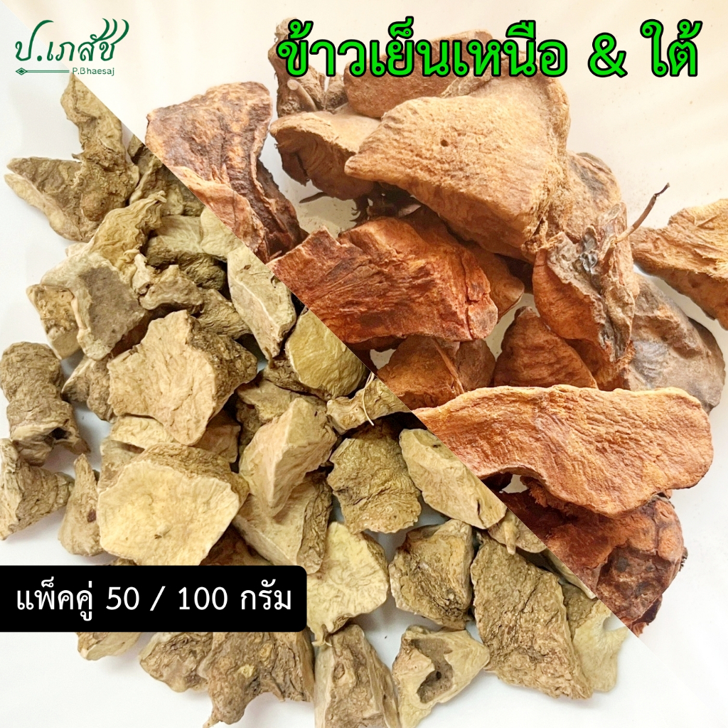 ข้าวเย็นเหนือ & ข้าวเย็นใต้ [50 / 100 กรัม] ข้าวเย็นแดง ข้าวเย็นขาว หัวยาข้าวเย็นเหนือ หัวยาข้าวเย็นใต้