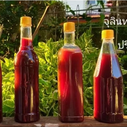 จุลินทรีย์สังเคราะห์แสง(PSB )