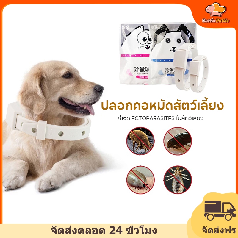 ปลอกคอกำจัดเห็บ ปลอกคอกันเห็บหมัด ปลอกคอกำจัด หมัด สุนัข และแมว ปลอกคอกําจัดหมัดเห็บ ทนนาน 8 เดือน สําหรับ สุนัข แมว