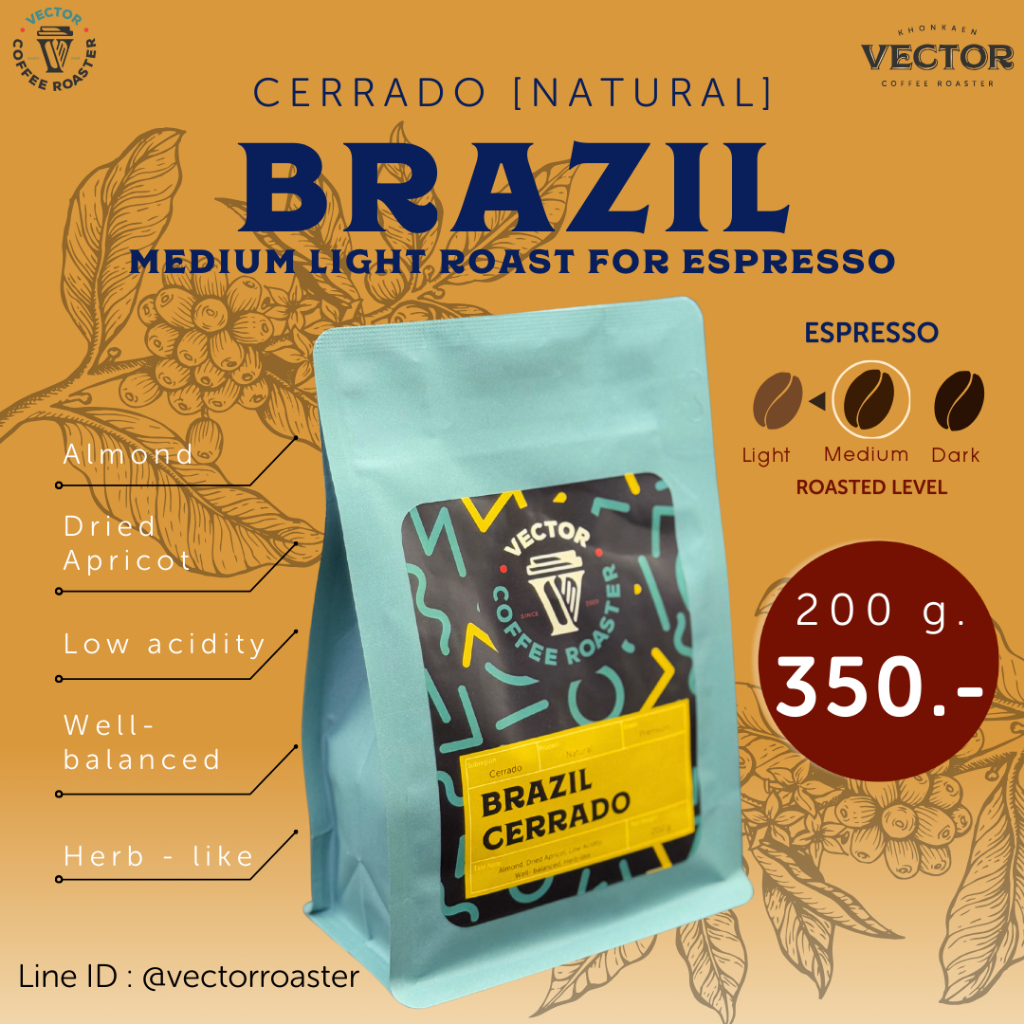 VECTOR : Brazil เมล็ดกาแฟคั่วกลาง สำหรับชงเอสเพรสโซ่ 200 กรัม ราคา ถูกที่สุด ดีลบีเคเค