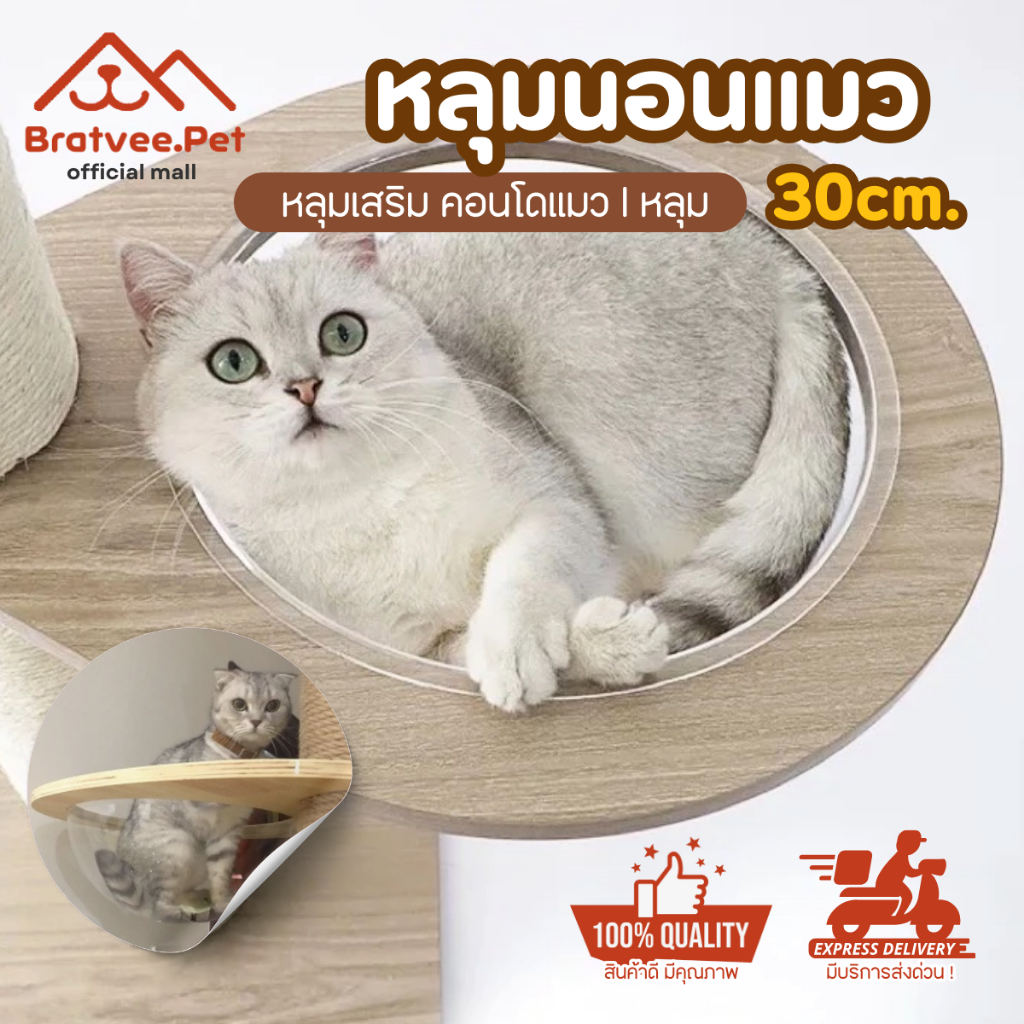 [Bratvee] หลุมอวกาศ หลุมนอนแมว DIY แคปซูลอวกาศ โดมอะคริลิคแมว พร้อมแท่นไม้ เฟอร์นิเจอร์สัตว์เลี้ยง