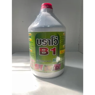 สารเสริมราก บราโว่บี1 ช่วยให้รากแตกใหม่ รากเยอะ ต้นสมบูรณ์ เพาะเมล็ด สำหรับต้นใหญ่ สูตรใช้น้อย สุดคุ้ม ขนาด 4 ลิตร.